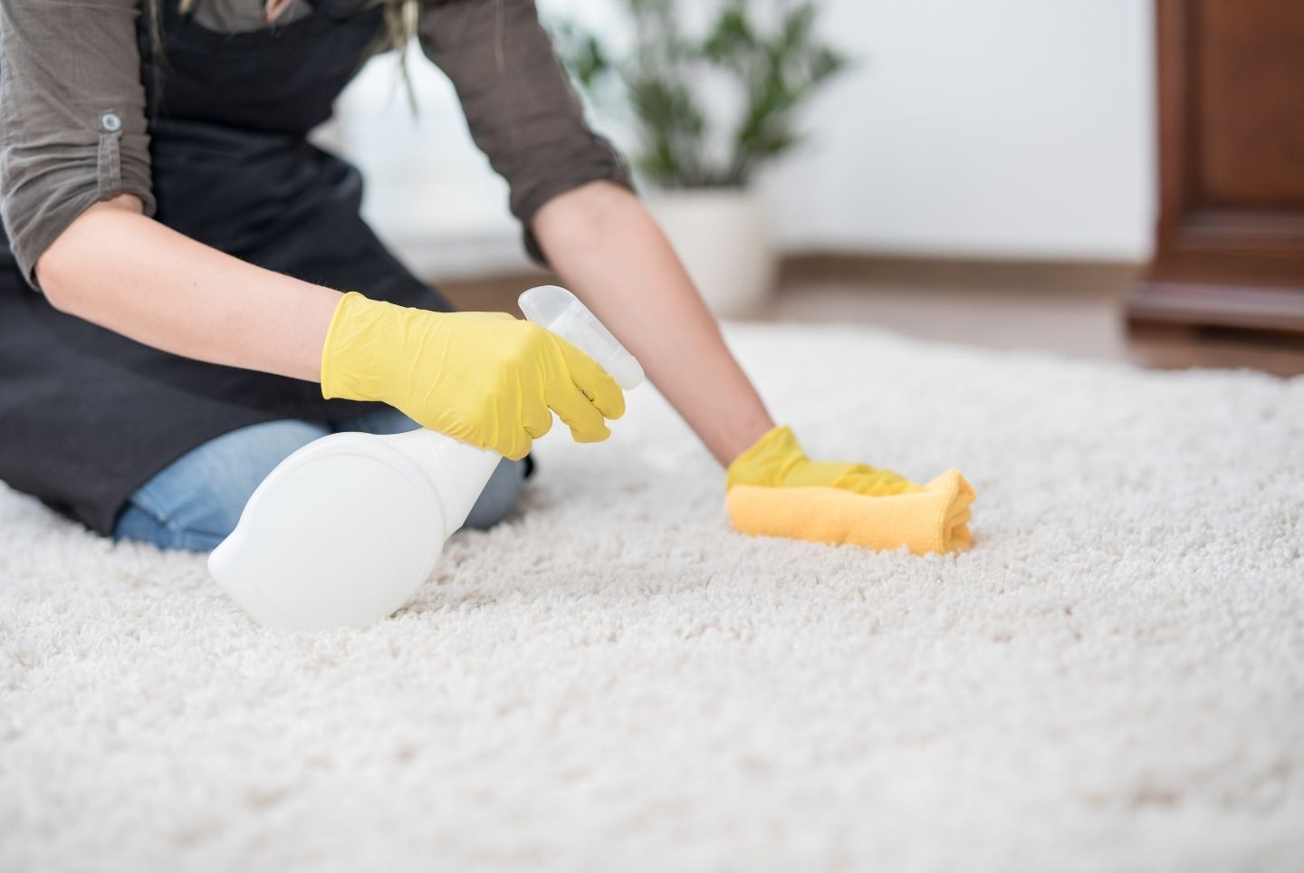 Hur kan du rengöra dina mattor hemma?