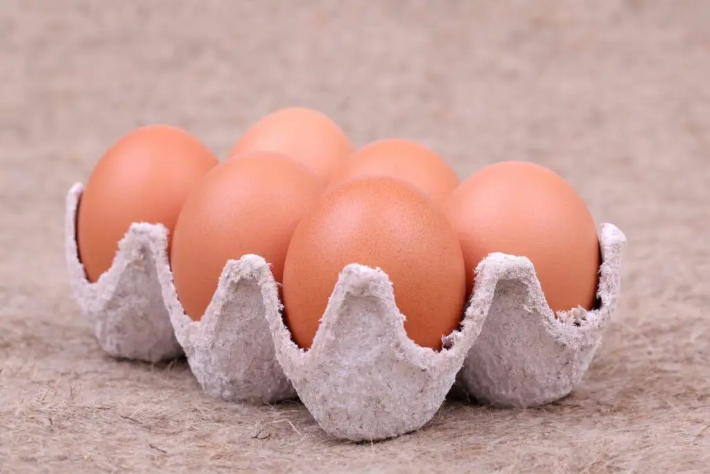 Är äggkartonger återvinningsbara?