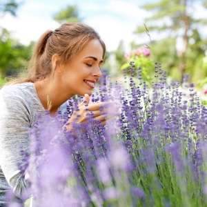 En vacker trädgård med lavendel i kruka som blommar på våren.